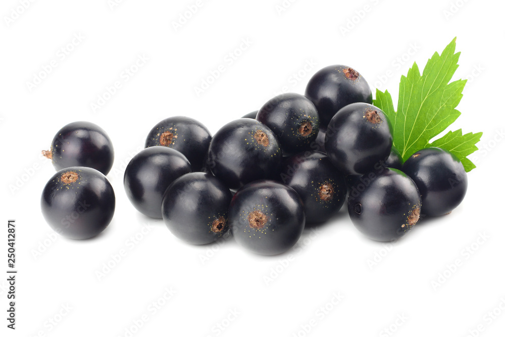 black currant with green leaf isolated on white background. macro black currant with green leaf isolated on white background. macro