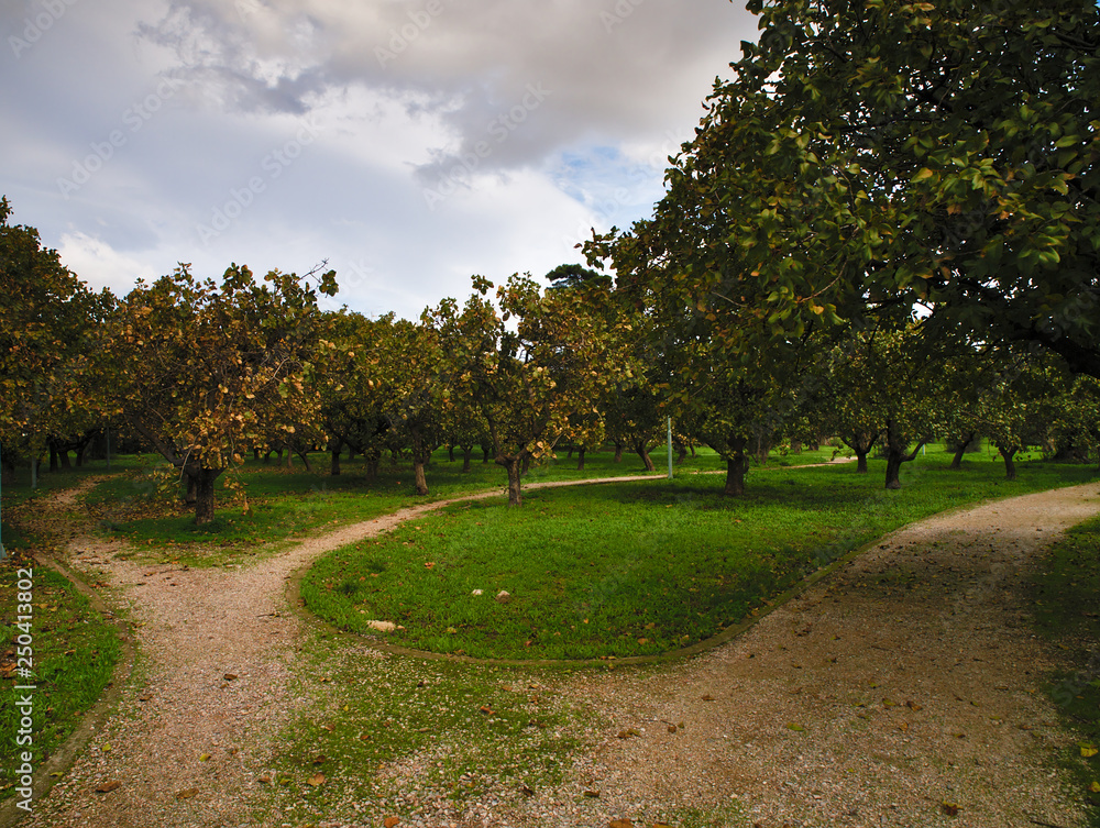 Park curved soil pathways with trees and green low grass. Blue sky with clouds. Tritsis park in Athens, Greece.