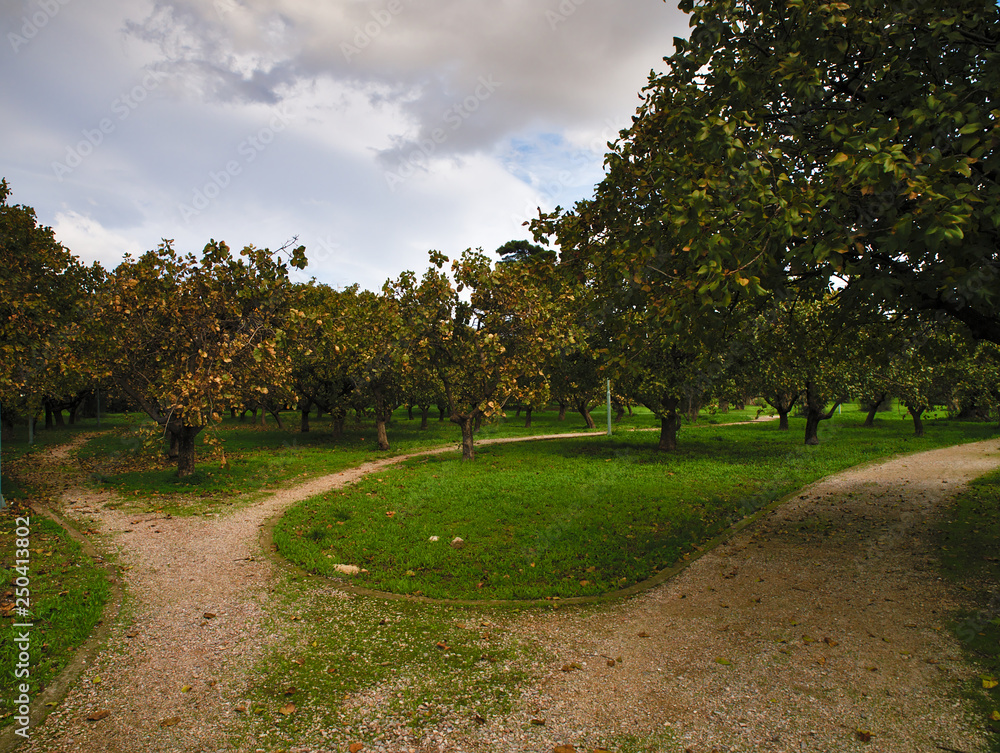 Park curved soil pathways with trees and green low grass. Blue sky with clouds. Tritsis park in Athens, Greece. Park curved soil pathways with trees and green low grass. Blue sky with clouds. Tritsis park in Athens, Greece.