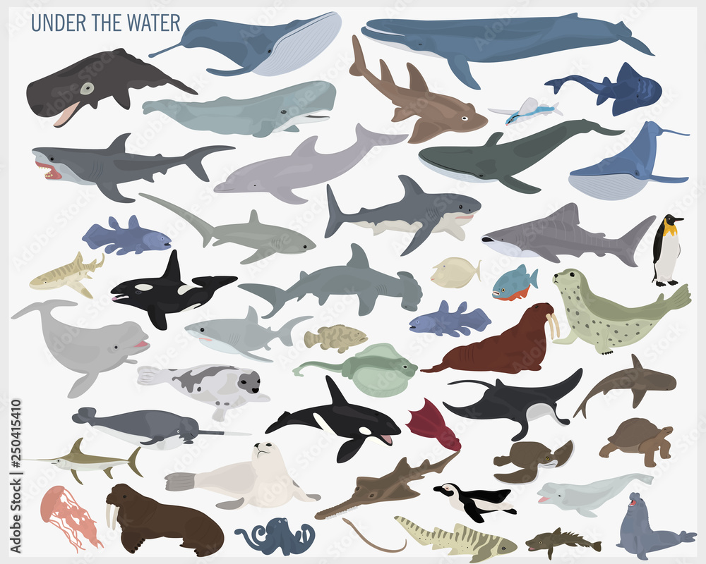 Set of sea fish and other animals on a white background Set of sea fish and other animals on a white background