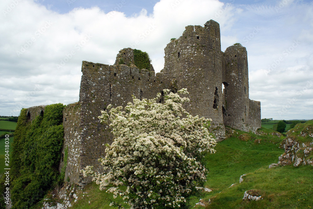 Ruins of the Roche Castle.Ireland. 