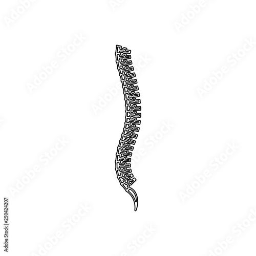 spine icon. Element of Human parts for mobile concept and web apps icon. Outline  thin line icon for website design and development  app development
