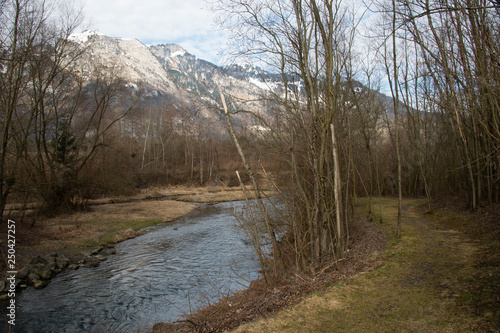 Vorfrühling im Oberen Rheintal