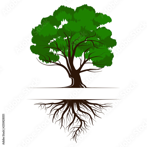 Oak a green life tree with roots and leaves. Vector illustration icon isolated on white background.