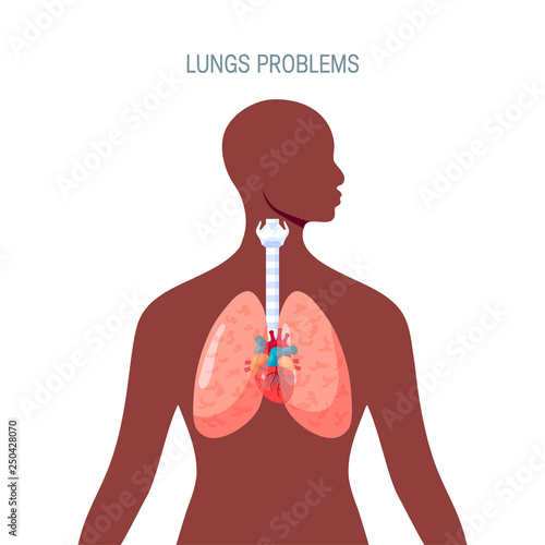 Human lungs vector icon in simple flat style