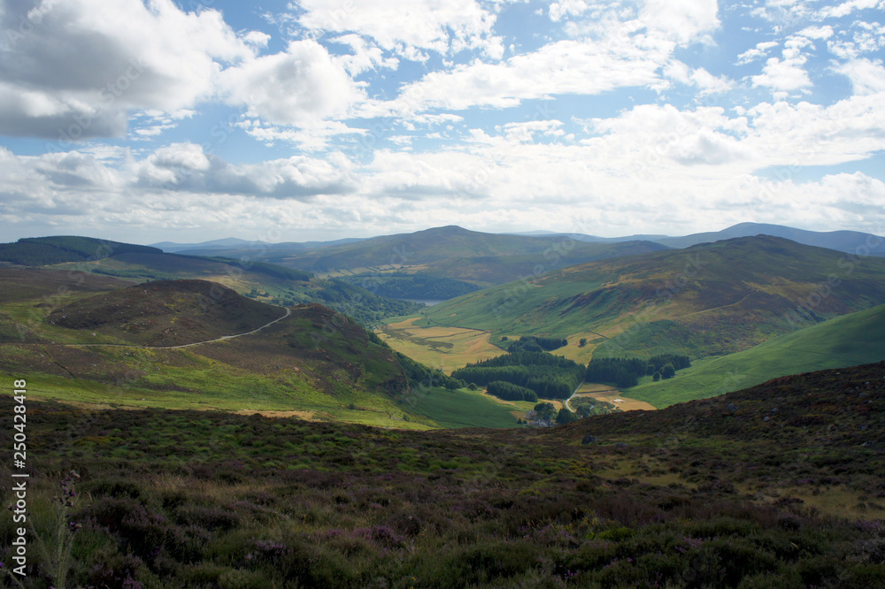 Fototapeta premium Summer in Wicklow Mountains.Ireland.