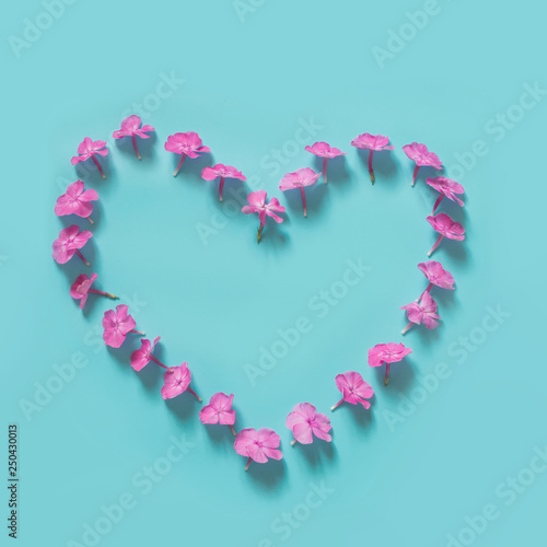 Floral creative pattern of pink phlox flowers leaves as heart on blue.
