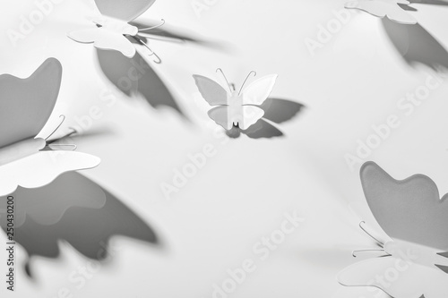 Graue lackierte Schmetterlinge