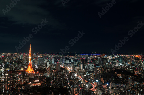 Tokyo Cityscape at Japan