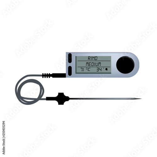 Core temperature sensor vector. Kitchen thermometer, laboratory thermometer, digital tool. Thermometer concept. Vector can be used for topics like measurement, cooking, science