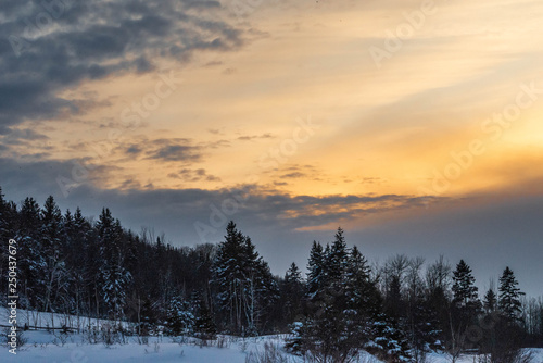 Winter Sunset Landscape with Field and Forest