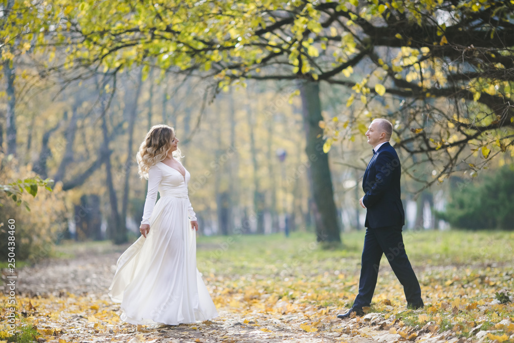 Bride and groom walk around the beautiful autumn park Bride and groom walk around the beautiful autumn park