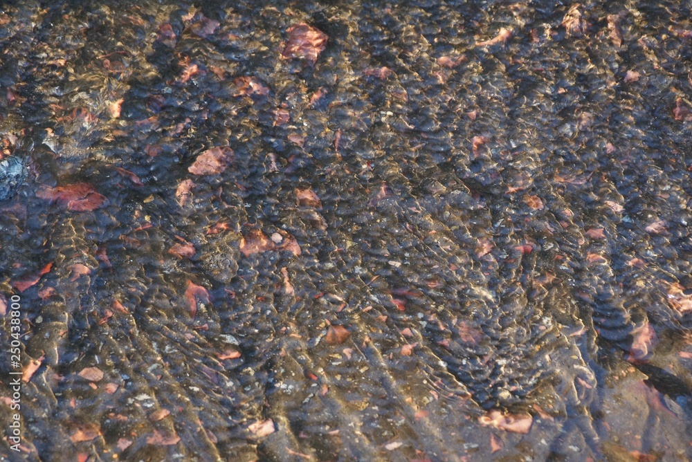gray brown natural texture of clear water stream and sand at the bottom gray brown natural texture of clear water stream and sand at the bottom