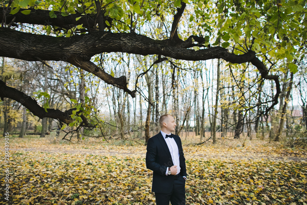 Handsome groom in classy black suit poses in autumn park covered with fallen leaves Handsome groom in classy black suit poses in autumn park covered with fallen leaves