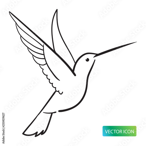 Hummingbird Icon Or Logo Design Vector Image On White Background. Hummingbird Line Logo Icon. Isolated Colibri Symbol Vector Illustration. Hummingbird Line Sketch Vector Image.