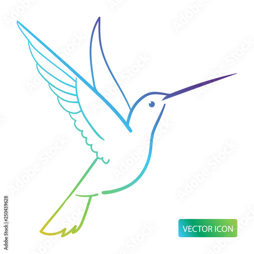 Hummingbird Icon Or Logo Design Vector Image On White Background. Hummingbird Line Logo Icon. Isolated Colibri Symbol Vector Illustration.