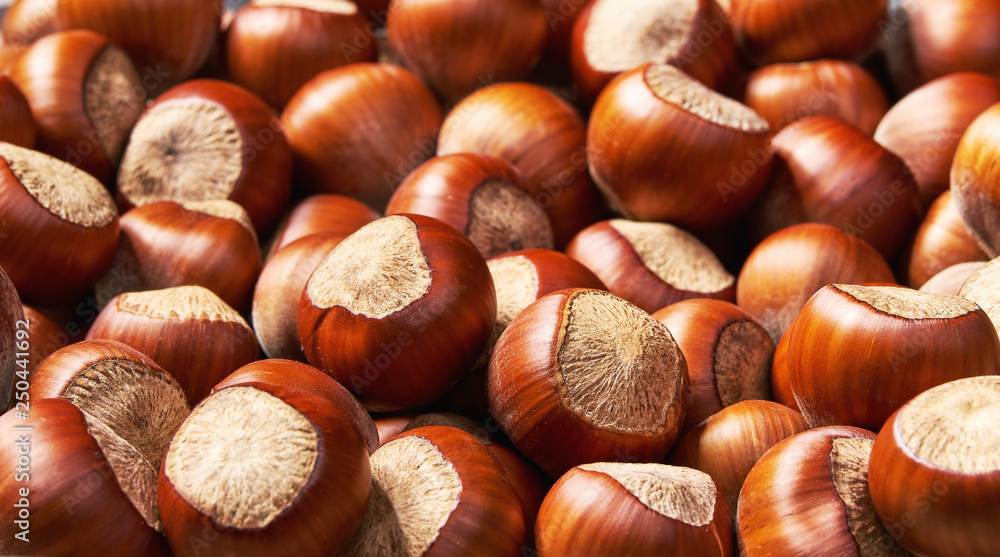 Hazelnut background close-up, healty food Hazelnut background close-up, healty food