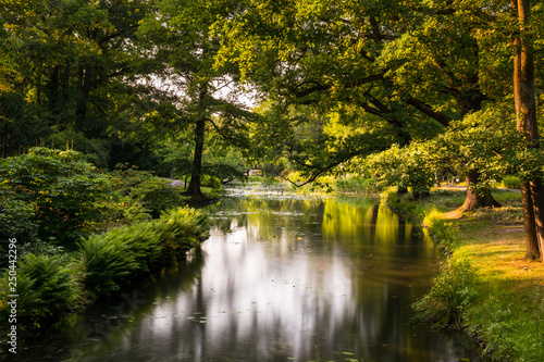 A peaceful river in the park