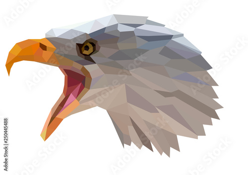 The head of an eagle.