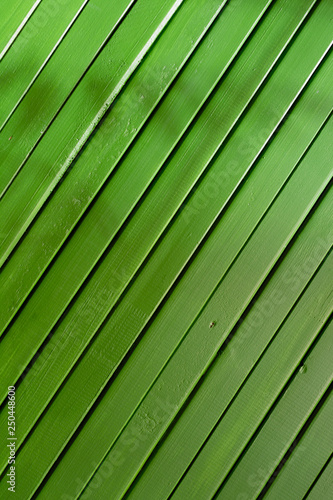 Abstract green wooden background texture. Wall green textured surface. Closeup panel strips barn plank