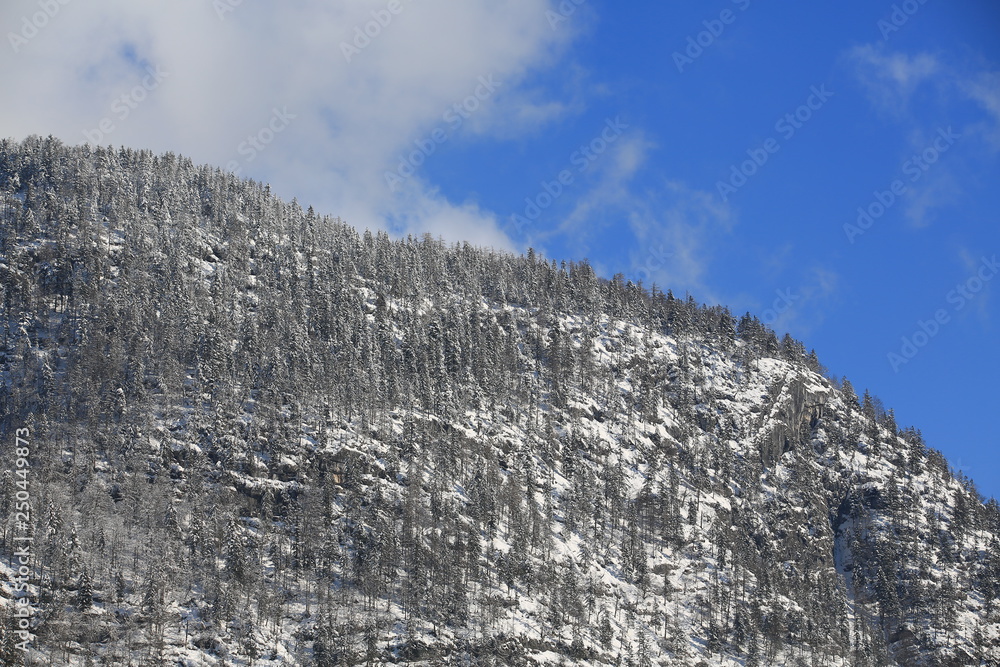 Naklejka premium Hallstatt mountain range