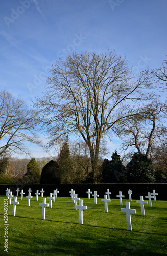 american cemetery waregem photo