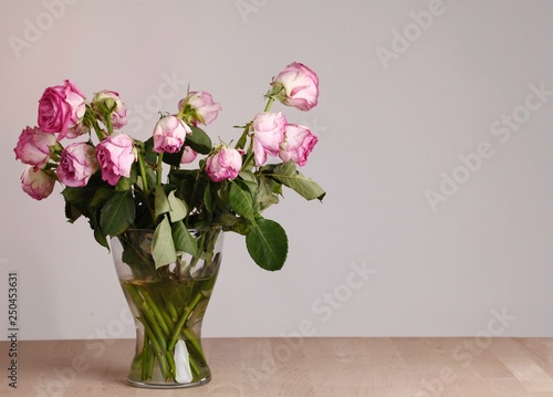 Wallpaper Mural Rose appassite: concetto di amore sfiorito Torontodigital.ca