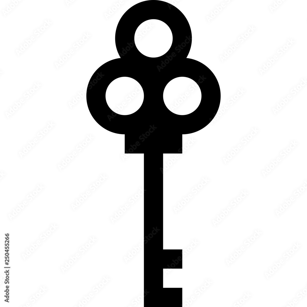 Obraz premium master key