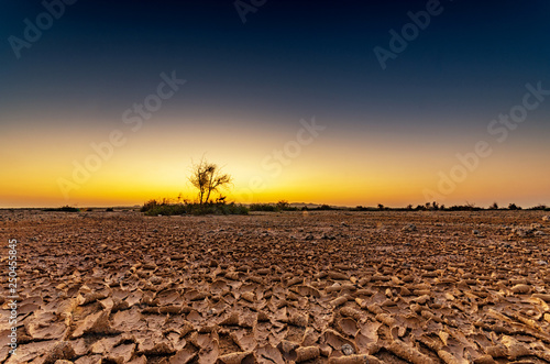 Arid soil in dry season in desert, drought in the desert in the sunrise