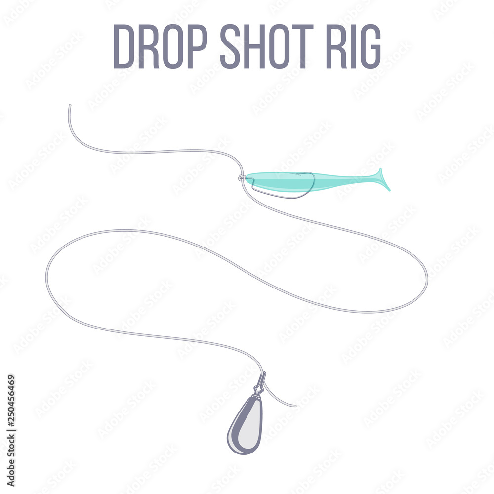 Drop shot rig sinker and soft plastic lure bait setup for catching predatory fish. Drop shot rig sinker and soft plastic lure bait setup for catching predatory fish.