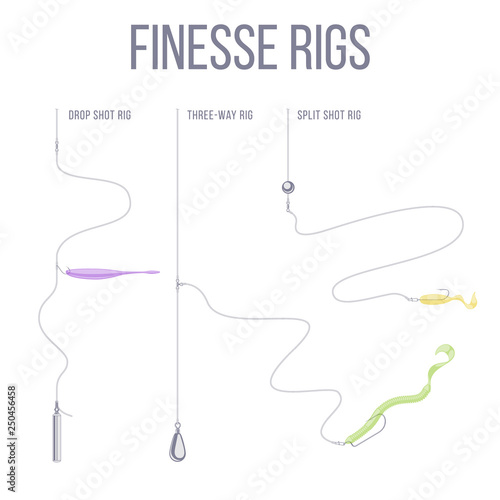 Finesse rigs for catching predatory fish. 