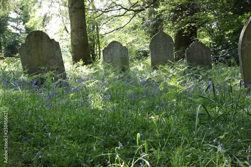 Grave stones in churchyard with Bluebells and sunlight Hampshire UK