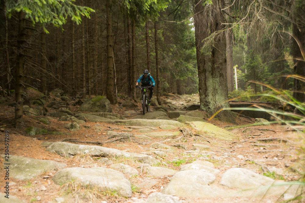 Obraz premium Harz_02