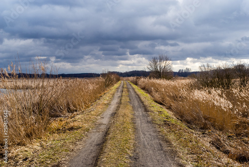 Przedwiośnie na Podlasiu, Stawy Dojlidzkie, Białystok, Podlasie, Polska