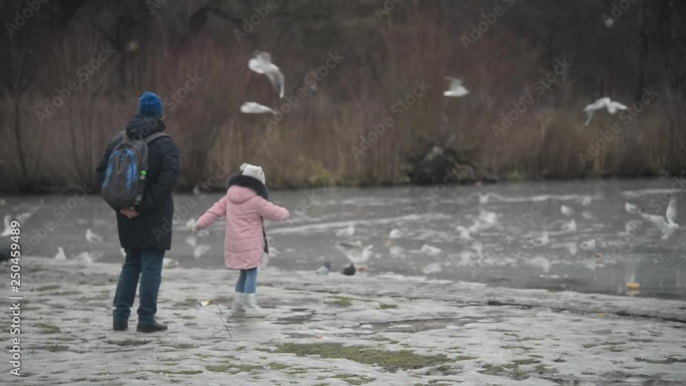 Father with Daughter watching Birds on a Lake in Winter Park - Day Father with Daughter watching Birds on a Lake in Winter Park - Day