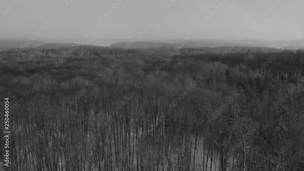 Winter flight over forest at sunset. Beautiful light with snow falling. Canada. Black and white. Winter flight over forest at sunset. Beautiful light with snow falling. Canada. Black and white.
