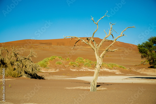 Sossusvlei, Namibia Africa