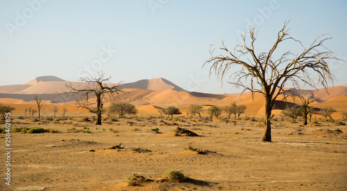 Sossusvlei, Namibia Africa