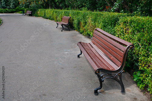 Beautiful old bench in batanical  garden park photo