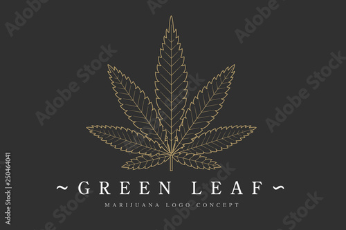 Cannabis marijuana hemp green leaf flat symbol or logo design. Cannabis green silhouette ecology logo. Hemp emblem for the logo design packaging of goods, food, for the creation of printed products.