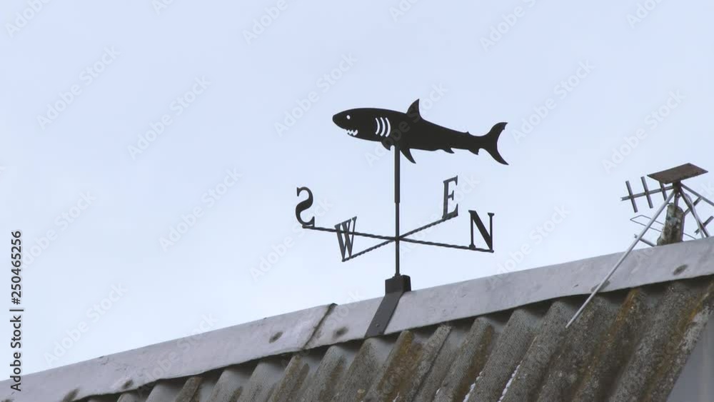 Fish weather vane