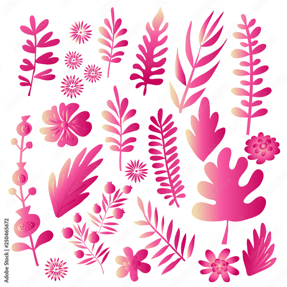 Flowers set2 Flowers set2