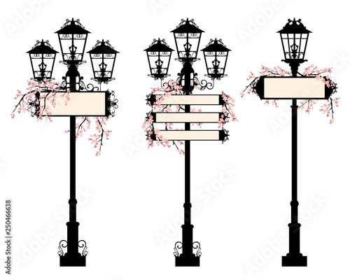 elegant street lights with blank information boards among blooming sakura branches - springtime urban decor vector set