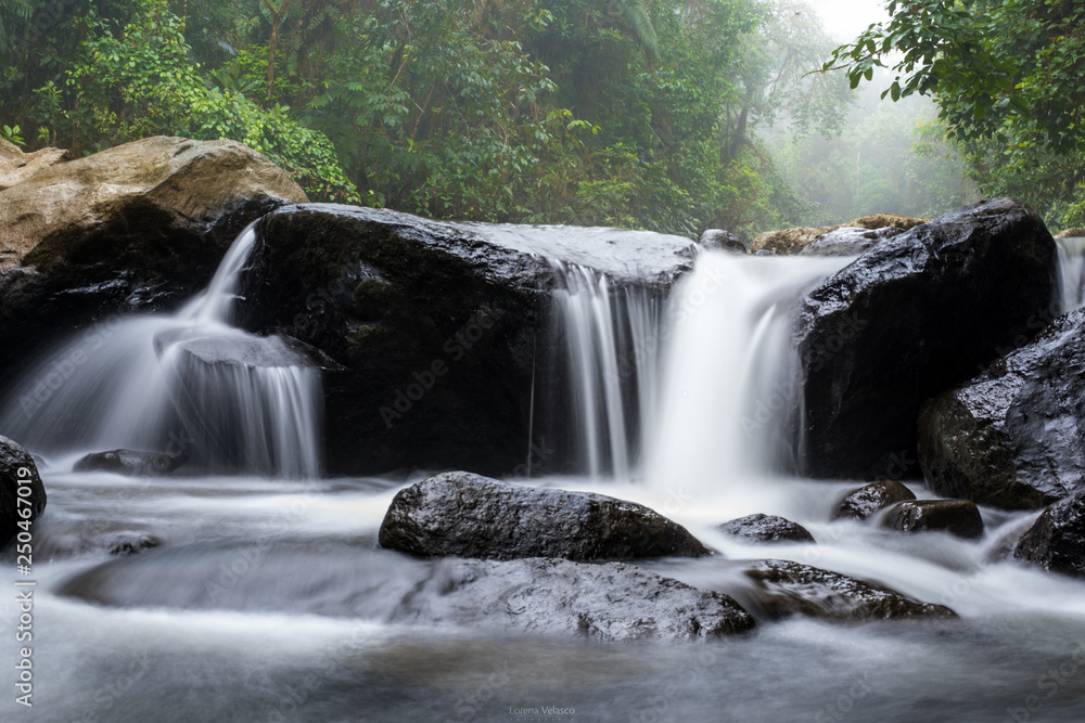 Fototapeta premium waterfall in the forest