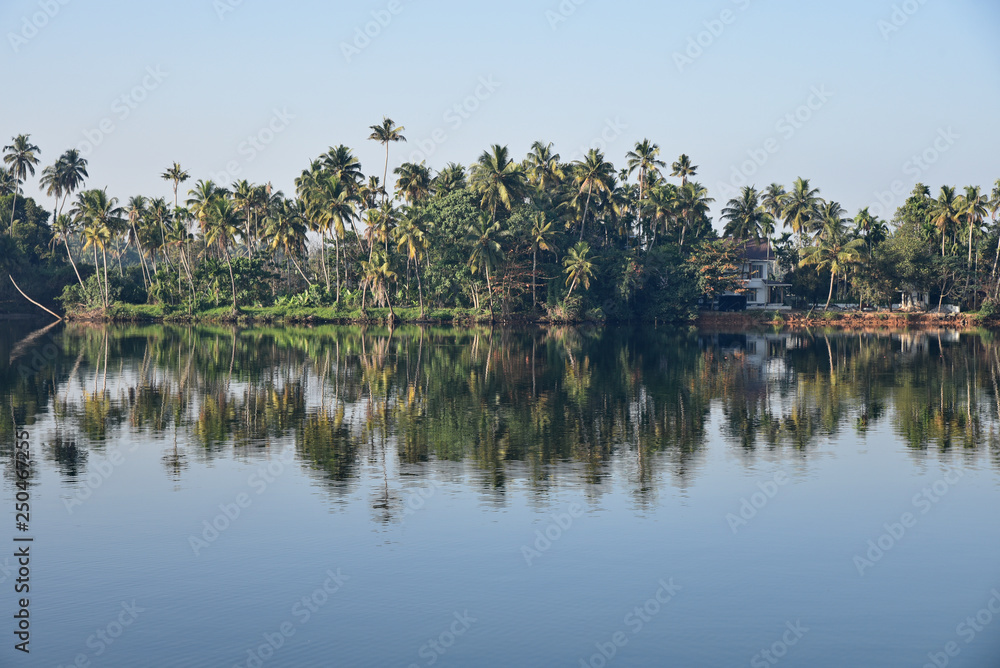 Cocoteraie du Kerala, Inde du Sud