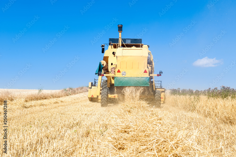 Fototapeta premium Harvester performing mowing tasks in the field.