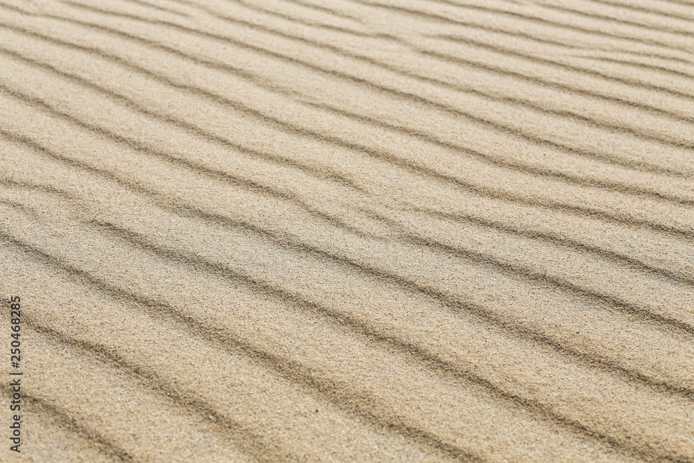 Sand dune lines and patterns sculpted by wind on Parnidis sand dune - popular tourist point in Lithuania. Located in Nida, in Curonian Spit between curonian lagoon and baltic sea. a Unesco site. Sand dune lines and patterns sculpted by wind on Parnidis sand dune - popular tourist point in Lithuania. Located in Nida, in Curonian Spit between curonian lagoon and baltic sea. a Unesco site.