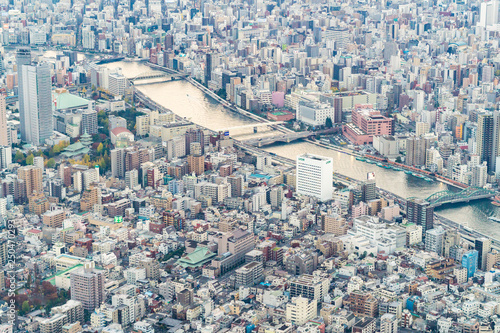 Canvas Print View of downtown cityscape and sky tree in tokyo, Japan.