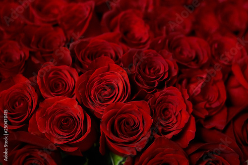 A large bouquet of red roses