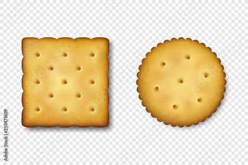Realistic Vector 3d Round and Square Delicious Salty Cookies Rustic, Cracker, Biscuit Icon Set Closeup Isolated on White Background. Design Template of Sweet Cookie, Yummy Crackers, Breakfast Snack